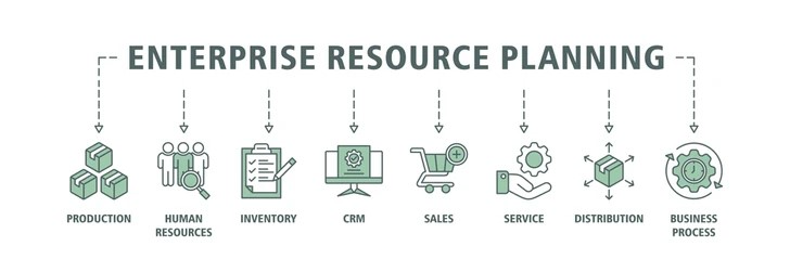 Enterprise Resource Planning (ERP)